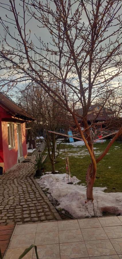 Hotel Casa Terzea Rîşnov Exterior foto